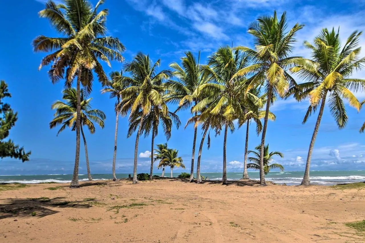 Playas Del Yunque Resort Condo Pools And Beach Access Río Grande